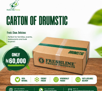 Carton of Drumstic